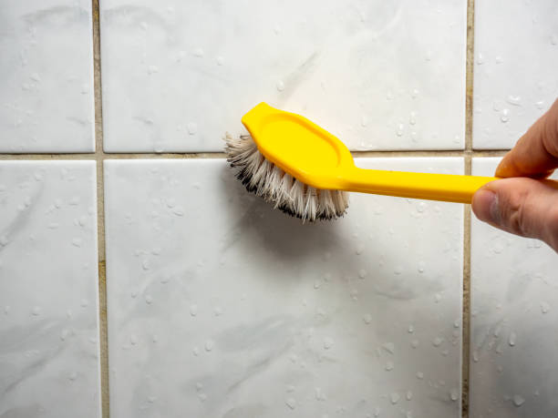 Best Mold Removal Company Near Me  in Clearlake, CA
