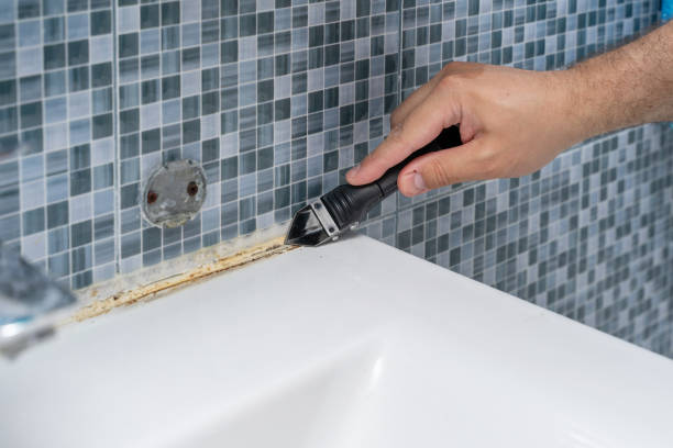 Best Best Mold Removal Companies  in Clearlake, CA