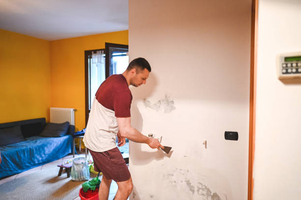 Best Office Mold Removal Services  in Clearlake, CA
