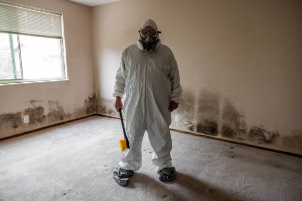 Best Emergency Mold Removal  in Clearlake, CA